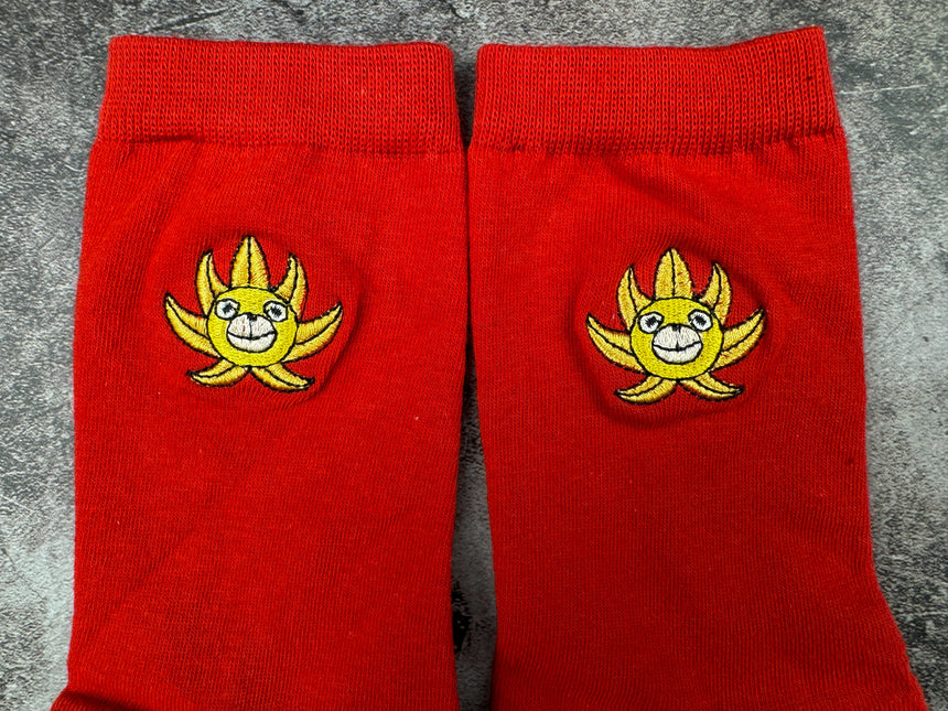 Sunny embrodiered Socks