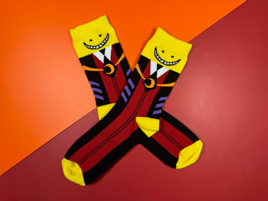 Octopus Teacher Socks