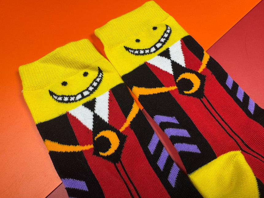 Octopus Teacher Socks