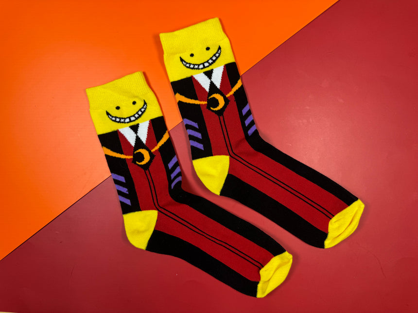 Octopus Teacher Socks