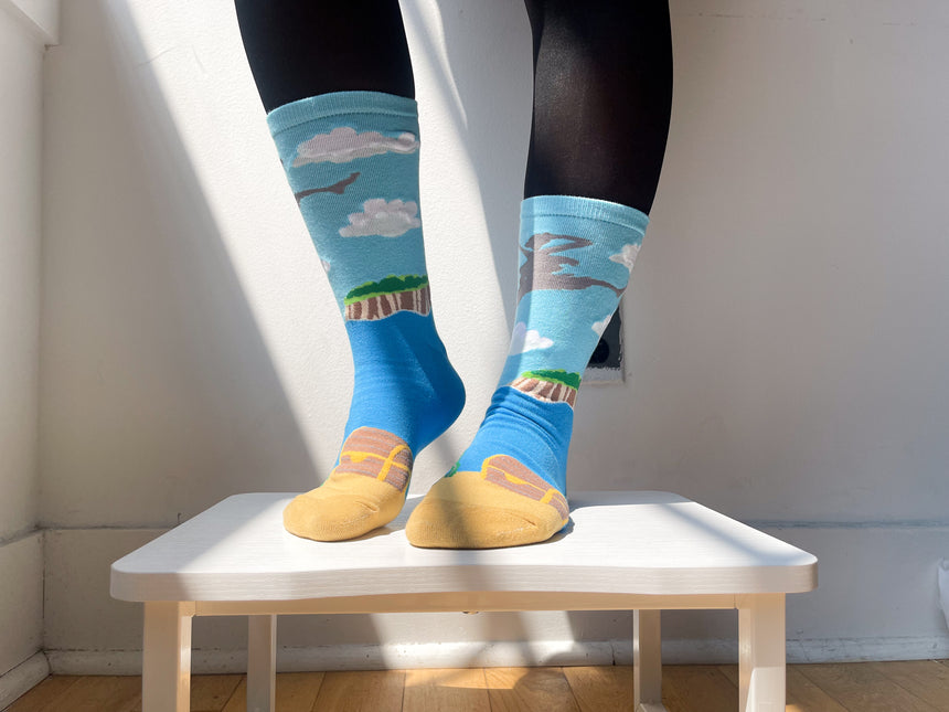 Pirate in the Sky Socks