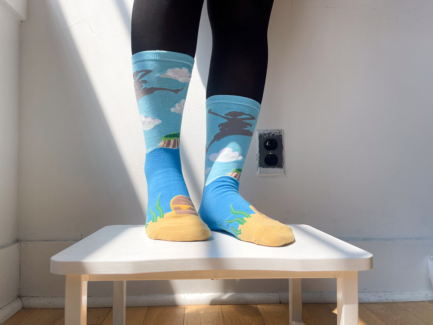 Pirate in the Sky Socks